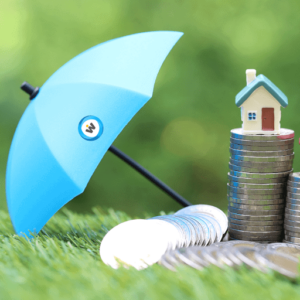 Wisdom’s Top 5 Tips For Protecting Assets